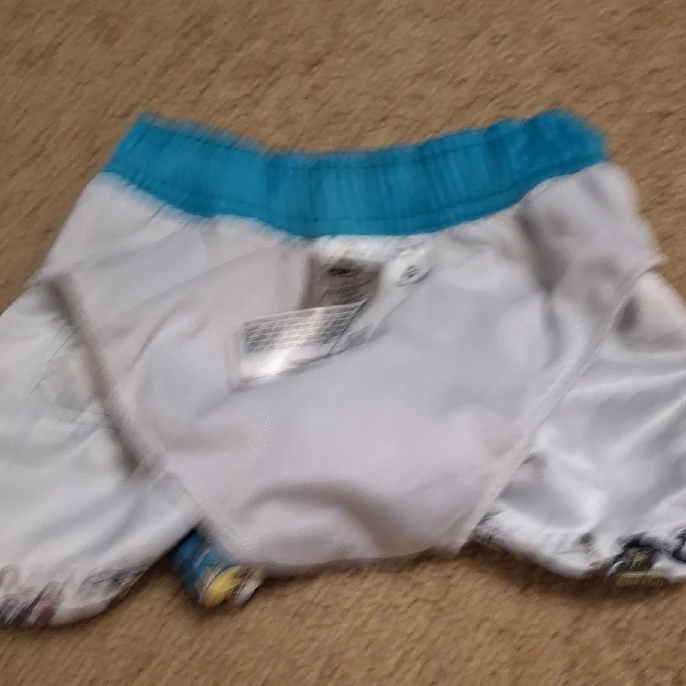 Disney fun shorts
